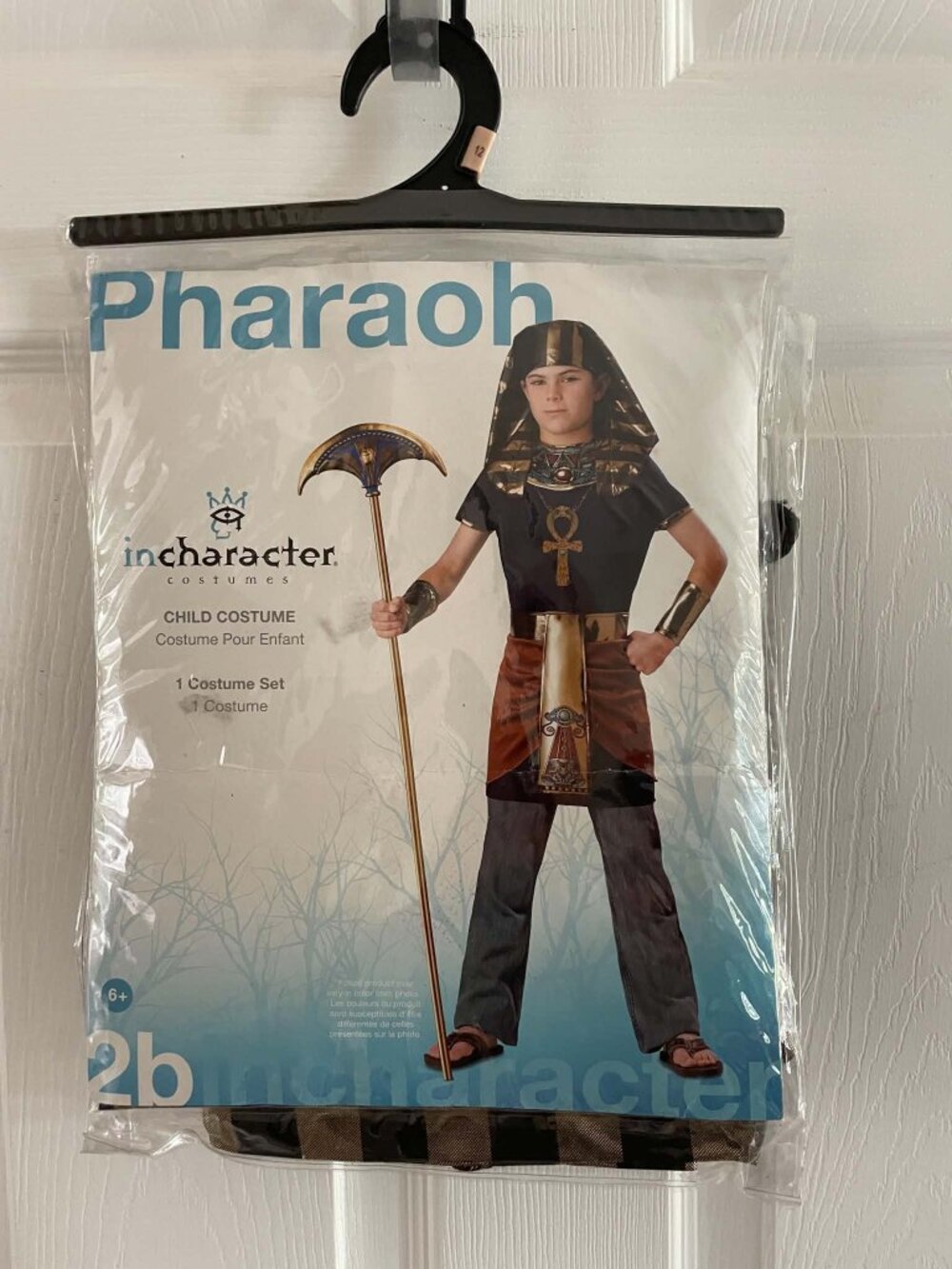Egyptian Pharaoh Halloween Costume for boy or girl. Size 12 NEW NWT